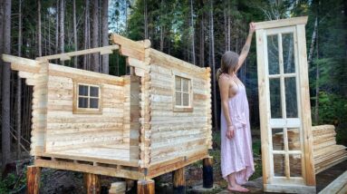 BUILDING an OFF GRID FOREST CABIN for BABY NURSERY & APOTHECARY | Mold is Everywhere - Ep. 144