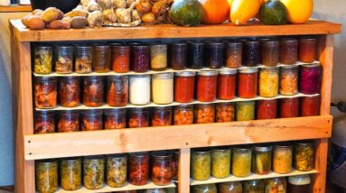 Homegrown & Preserved | Food Storage Tour
