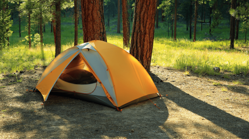 Difference Between Survival Camping and Tent Camping