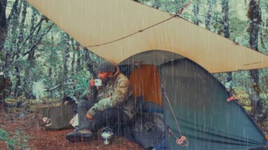 Solo CAMPING in a Rain Forest with TENT and Tarp - Rain ASMR