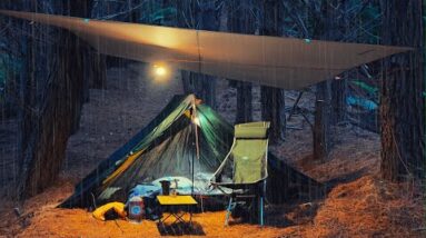 Solo Tent Camping in the Rain - Pine Forest