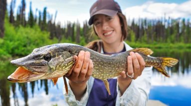 Summer at the Remote Cabin | Northern Pike Fishing in Alaska