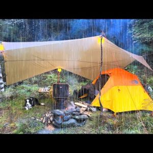 Tent CAMPING in the RAIN - peaceful sound of stream