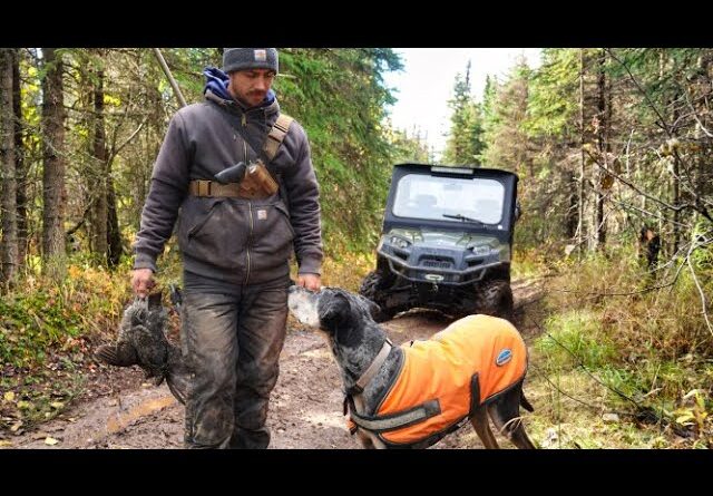 Hunting Alaska's Spruce Grouse for the BEST Chicken & Waffle Sandwich