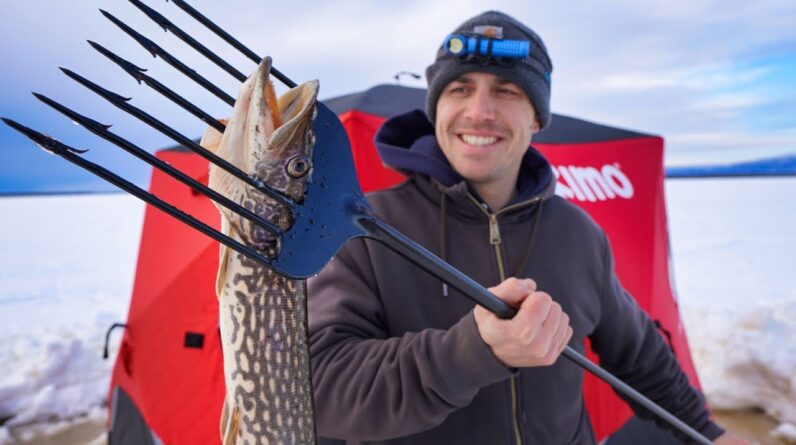 Spear Fishing Northern Pike | Third Time's a Charm