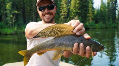 Fishing for Arctic Grayling in Alaska | Summer Boating Delta Clearwater River