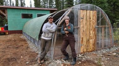 From High Tunnel to Chicken Run | Working Away to Winter's Arrival