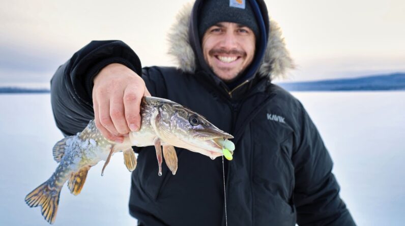 Quiet Snowy Days on the Ice | Northern Pike Fishing